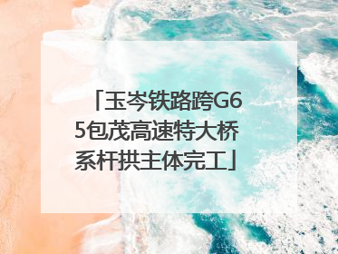 玉岑铁路跨G65包茂高速特大桥系杆拱主体完工