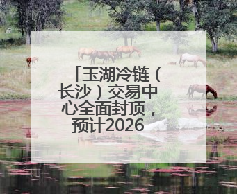 玉湖冷链（长沙）交易中心全面封顶，预计2026年投入使用