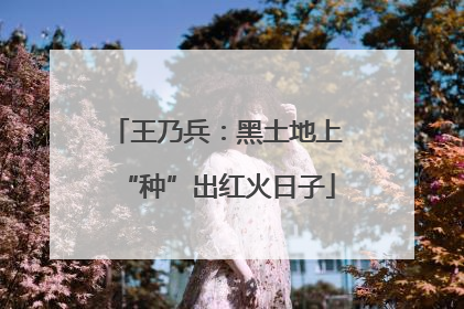 王乃兵：黑土地上“种”出红火日子