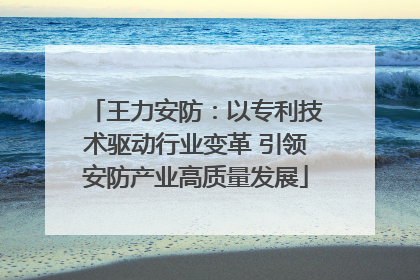 王力安防：以专利技术驱动行业变革 引领安防产业高质量发展