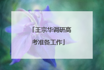 王宗华调研高考准备工作
