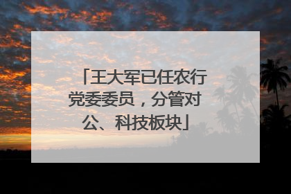王大军已任农行党委委员，分管对公、科技板块