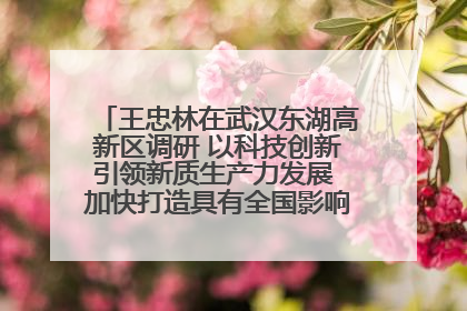 王忠林在武汉东湖高新区调研 以科技创新引领新质生产力发展 加快打造具有全国影响力的科技创新高地