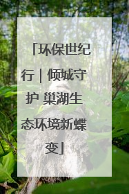 环保世纪行｜倾城守护 巢湖生态环境新蝶变
