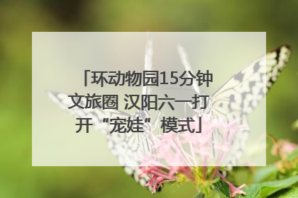 环动物园15分钟文旅圈 汉阳六一打开“宠娃”模式
