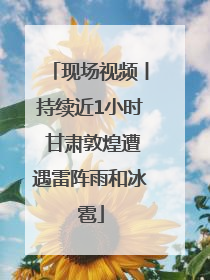 现场视频丨持续近1小时 甘肃敦煌遭遇雷阵雨和冰雹