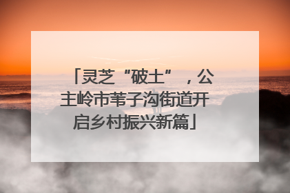 灵芝“破土”，公主岭市苇子沟街道开启乡村振兴新篇