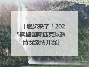 燃起来了！2025鹤壁国际匹克球邀请赛激情开赛