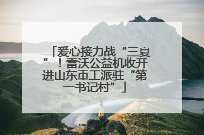 爱心接力战“三夏”！雷沃公益机收开进山东重工派驻“第一书记村”