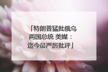 特朗普猛批俄乌两国总统 美媒：迄今最严厉批评