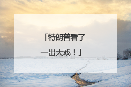 特朗普看了一出大戏！