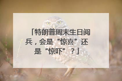 特朗普周末生日阅兵，会是“惊喜”还是“惊吓”？