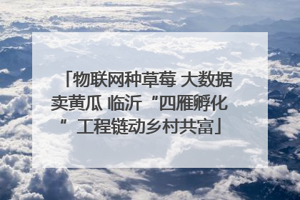 物联网种草莓 大数据卖黄瓜 临沂“四雁孵化”工程链动乡村共富
