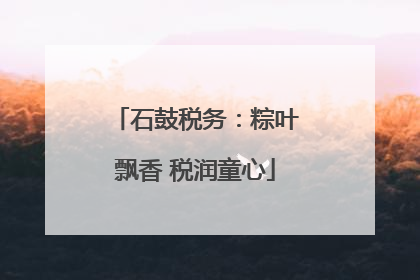 石鼓税务：粽叶飘香 税润童心