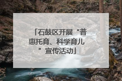 石鼓区开展“普惠托育、科学育儿”宣传活动