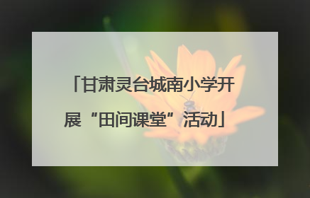 甘肃灵台城南小学开展“田间课堂”活动