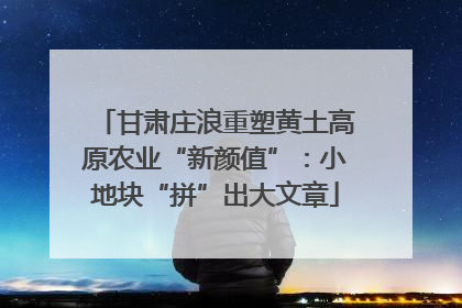 甘肃庄浪重塑黄土高原农业“新颜值”：小地块“拼”出大文章