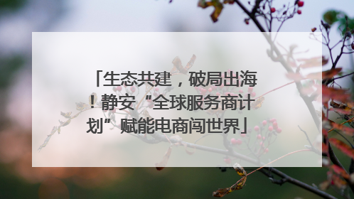 生态共建，破局出海！静安“全球服务商计划”赋能电商闯世界