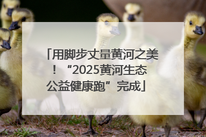 用脚步丈量黄河之美！“2025黄河生态公益健康跑”完成
