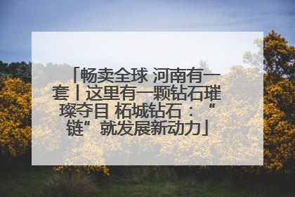 畅卖全球 河南有一套丨这里有一颗钻石璀璨夺目 柘城钻石：“链”就发展新动力