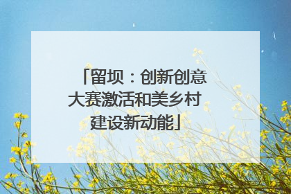 留坝：创新创意大赛激活和美乡村建设新动能