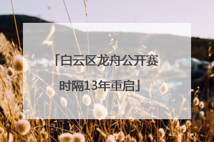 白云区龙舟公开赛时隔13年重启