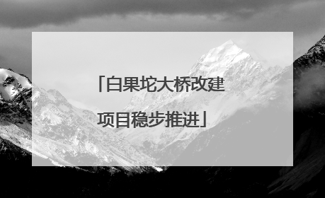 白果坨大桥改建项目稳步推进