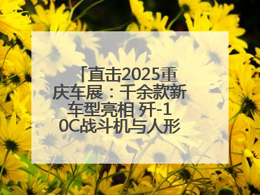 直击2025重庆车展：千余款新车型亮相 歼-10C战斗机与人形机器人引关注
