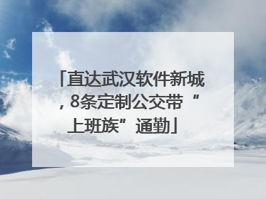直达武汉软件新城，8条定制公交带“上班族”通勤