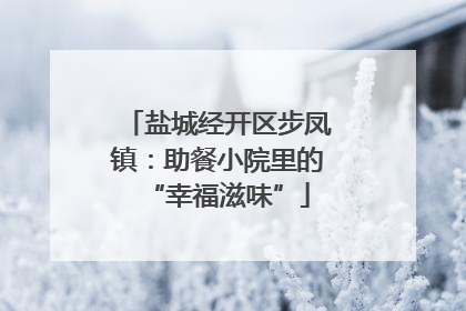 盐城经开区步凤镇：助餐小院里的“幸福滋味”