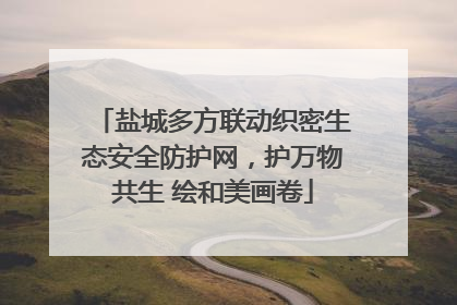 盐城多方联动织密生态安全防护网，护万物共生 绘和美画卷