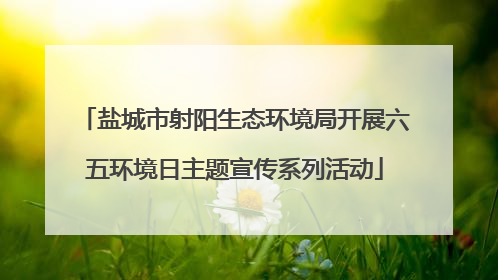 盐城市射阳生态环境局开展六五环境日主题宣传系列活动