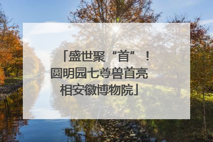 盛世聚“首”！圆明园七尊兽首亮相安徽博物院