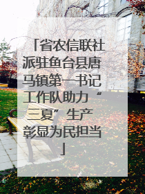 省农信联社派驻鱼台县唐马镇第一书记工作队助力“三夏”生产 彰显为民担当