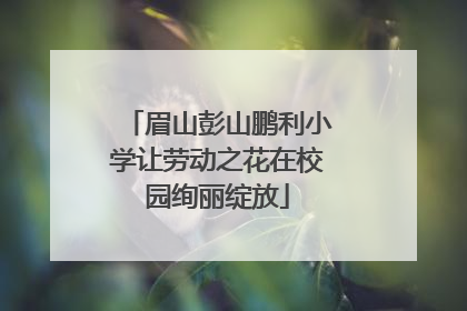 眉山彭山鹏利小学让劳动之花在校园绚丽绽放