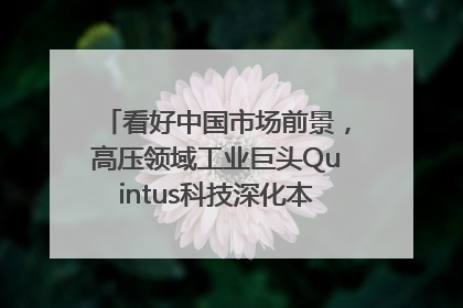 看好中国市场前景，高压领域工业巨头Quintus科技深化本土策略，构建全方位服务亚太区总部