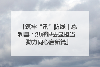 筑牢“汛”防线｜慈利县：洪峰退去显担当 勠力同心启新篇