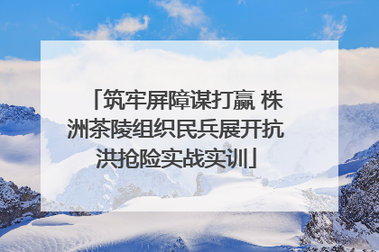 筑牢屏障谋打赢 株洲茶陵组织民兵展开抗洪抢险实战实训