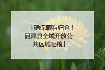 确保颗粒归仓！夏津县全域开放公共区域晒粮