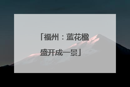 福州：蓝花楹盛开成一景