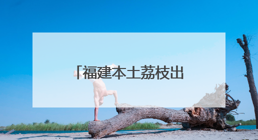 福建本土荔枝出口季正式开启