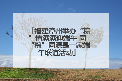 福建漳州举办“粽”情满满迎端午 同“粽”同源是一家端午联谊活动