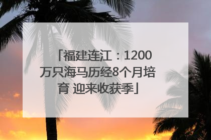 福建连江：1200万只海马历经8个月培育 迎来收获季