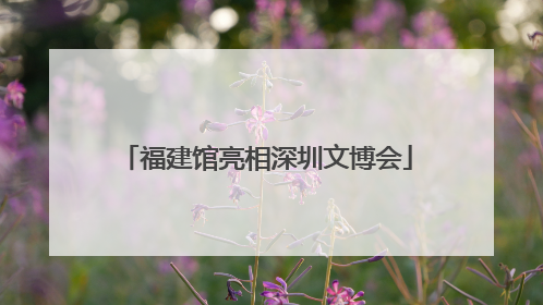 福建馆亮相深圳文博会