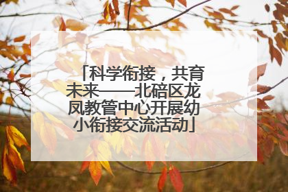 科学衔接，共育未来——北碚区龙凤教管中心开展幼小衔接交流活动