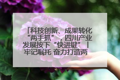 科技创新、成果转化“两手抓”，四川产业发展按下“快进键”丨牢记嘱托 奋力打造两高地两基地一屏障