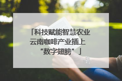 科技赋能智慧农业 云南咖啡产业插上“数字翅膀”