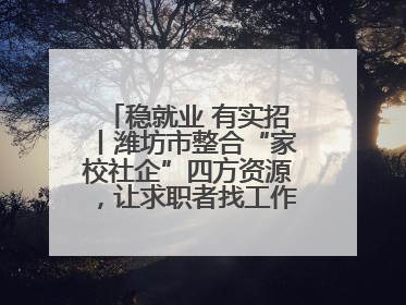 稳就业 有实招丨潍坊市整合“家校社企”四方资源，让求职者找工作不孤单