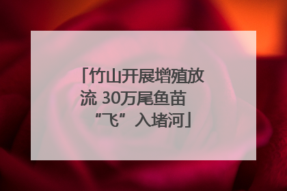 竹山开展增殖放流 30万尾鱼苗“飞”入堵河
