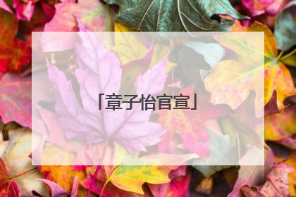 章子怡官宣